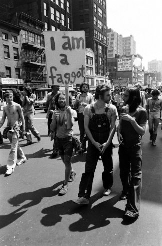 gay rights movement goals forced by a shemale